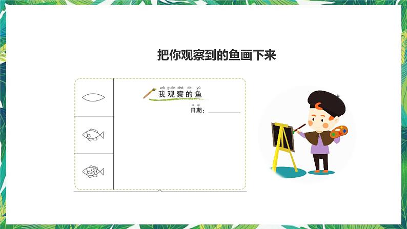 2.5《观察鱼》课件+教案+练习07