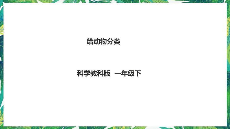 2.6《给动物分类》课件+教案+练习01