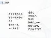 1.1《种子发芽了》课件PPT+教案+同步练习