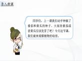 1.2《幼苗长大了》课件PPT+教案+同步练习