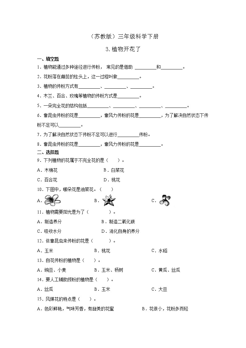 1.3《植物开花了》课件PPT+教案+同步练习01