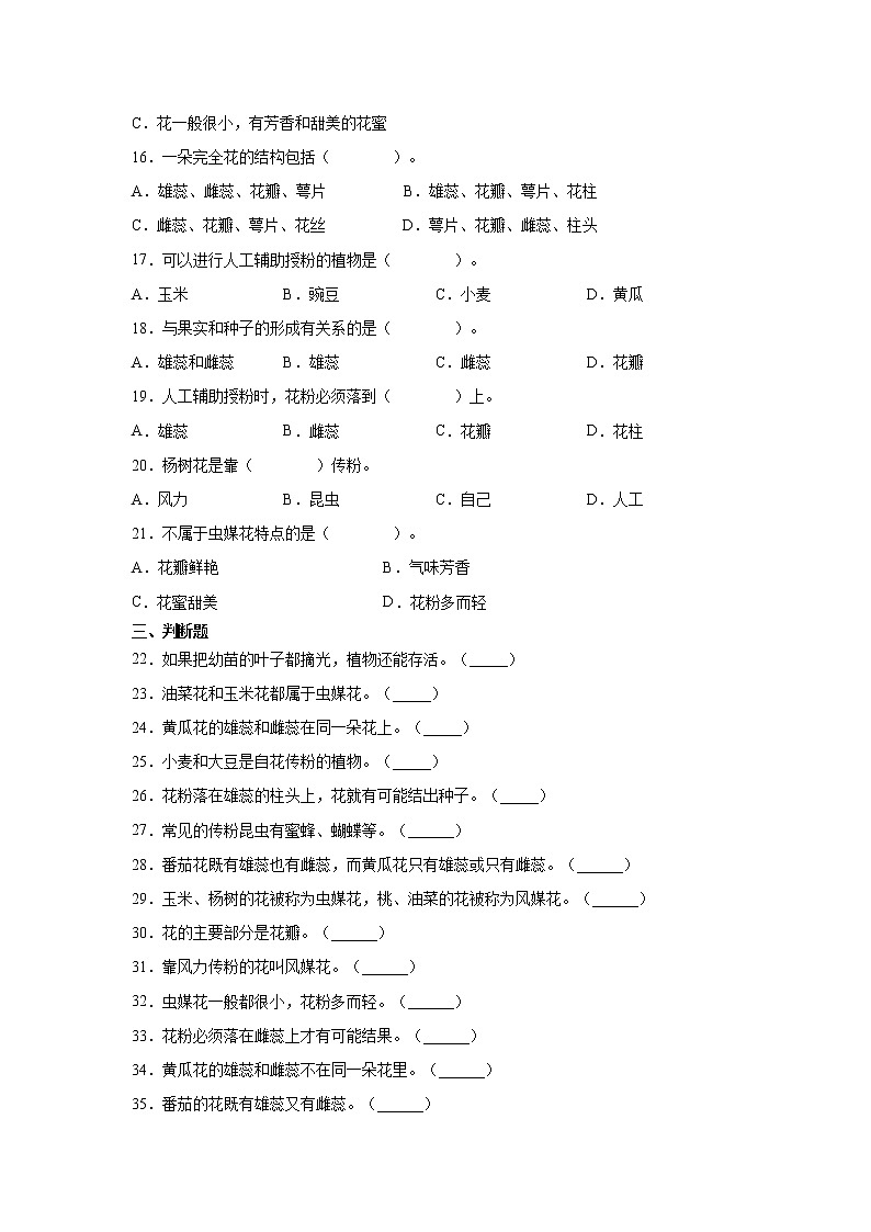 1.3《植物开花了》课件PPT+教案+同步练习02