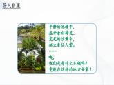 2.5《不同环境里的植物》课件PPT+教案+同步练习