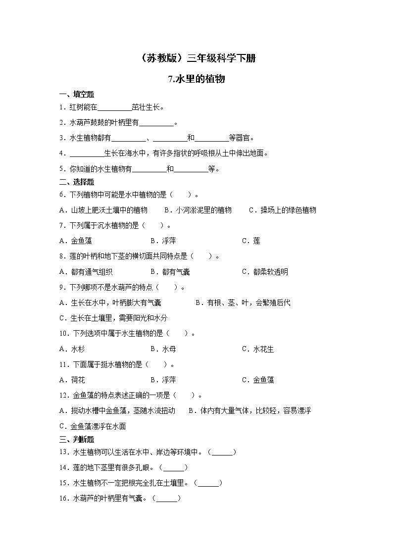 2.7《水里的植物》课件PPT+教案+同步练习01