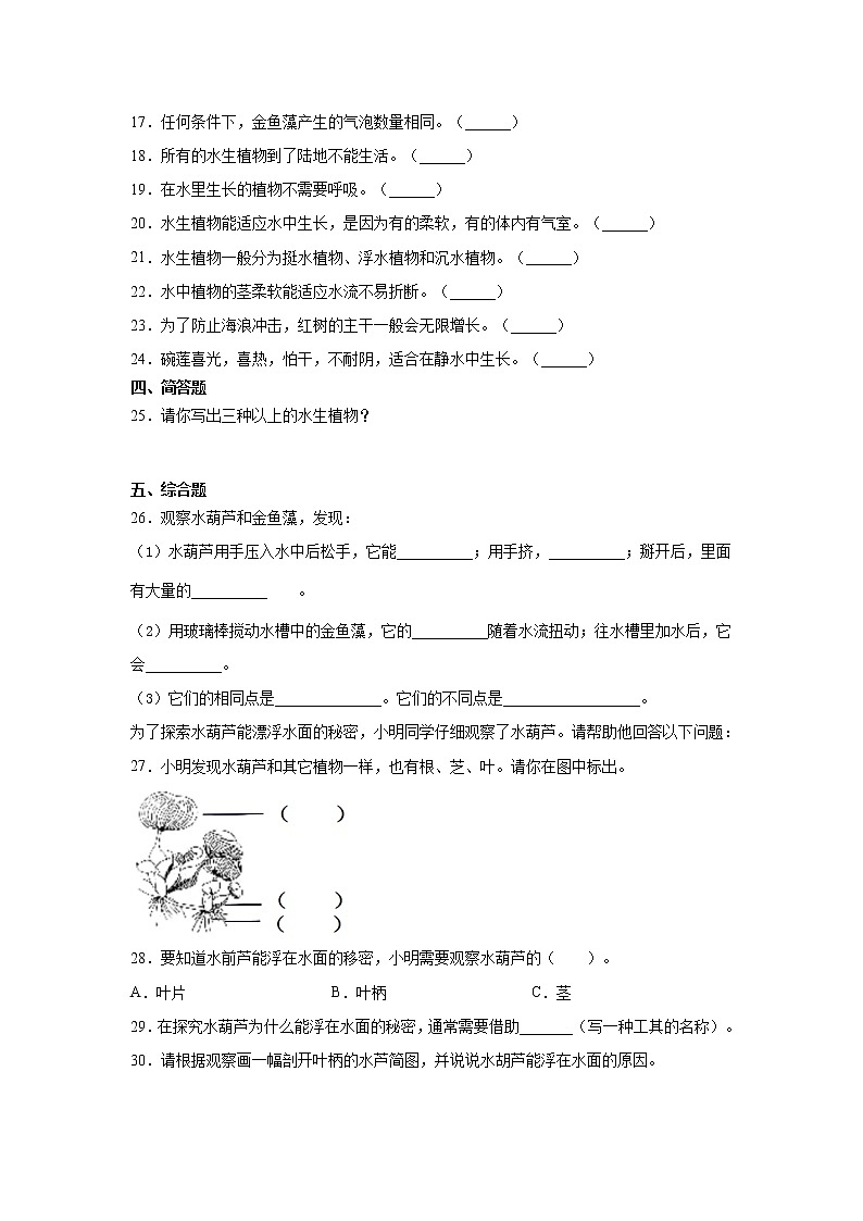 2.7《水里的植物》课件PPT+教案+同步练习02