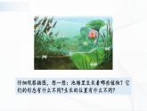 2.7《水里的植物》课件PPT+教案+同步练习