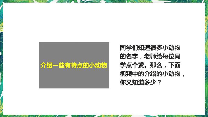 2.1《我们知道的动物》课件+教案+练习07