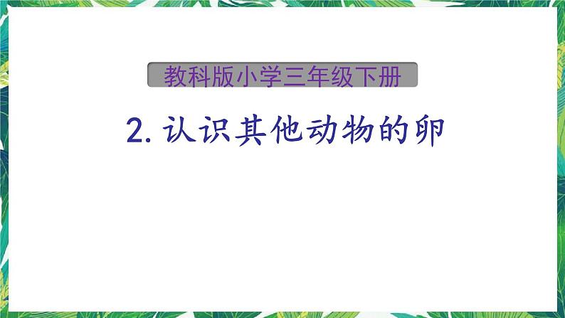 教科版三年级下册科学2.2《认识其他动物的卵》教学课件第1页