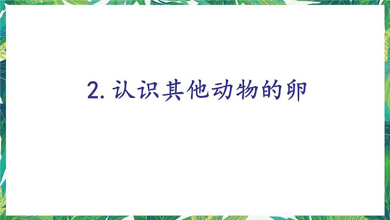 教科版三年级下册科学2.2《认识其他动物的卵》教学课件第4页