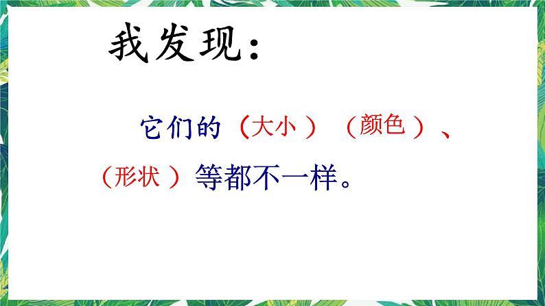 教科版三年级下册科学2.2《认识其他动物的卵》教学课件第6页