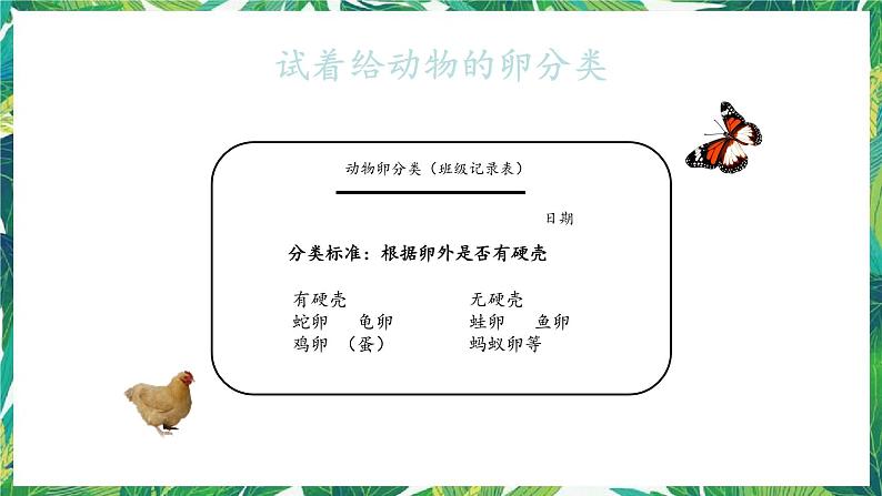 教科版三年级下册科学2.2《认识其他动物的卵》教学课件第7页