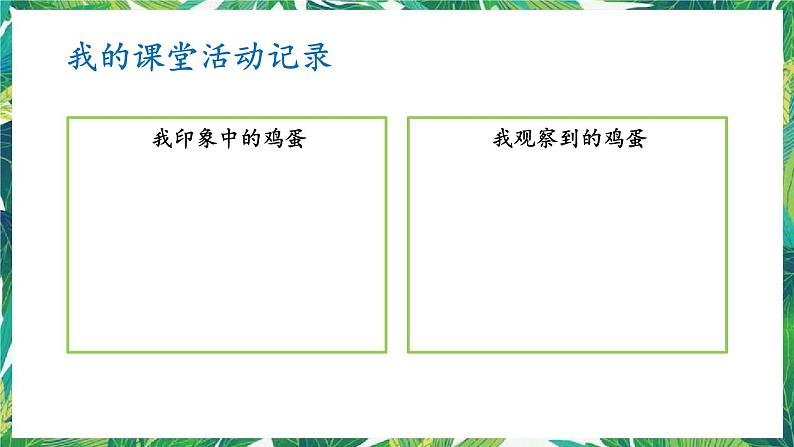 教科版三年级下册科学2.2《认识其他动物的卵》教学课件第8页