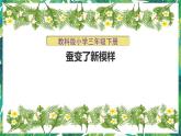三年級下冊科學(xué)課件-2.4蠶變了新模樣  教科版 課件+教案