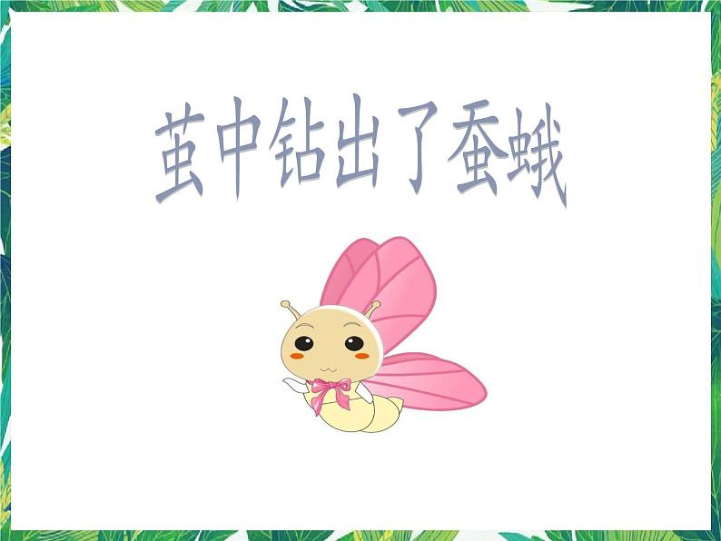 教科版三年级下册科学2.5《茧中钻出了蚕蛾》教学课件第1页
