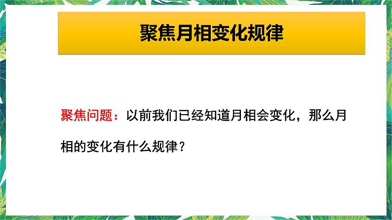 三年级下册科学课件-3.4月相变化的规律 教科版 课件+教案03