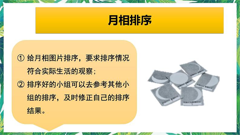 三年级下册科学课件-3.4月相变化的规律 教科版 课件+教案05