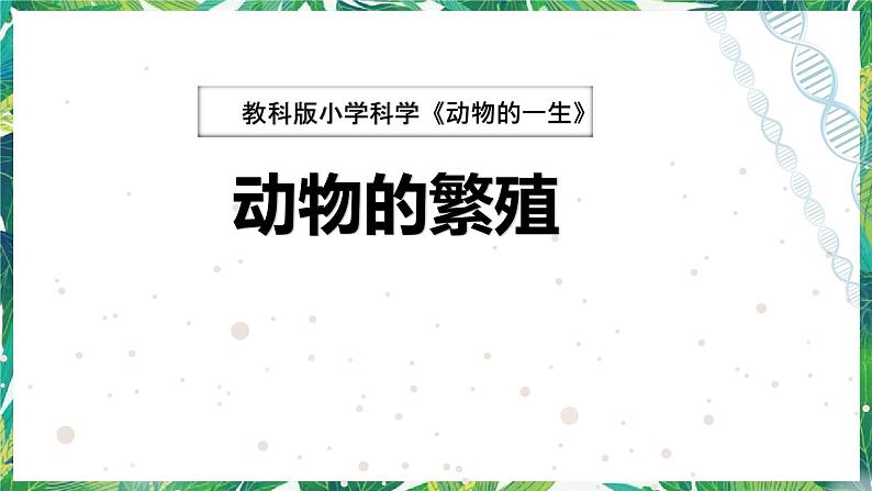 教科版三年级下册科学2.7《动物的繁殖》教学课件第1页