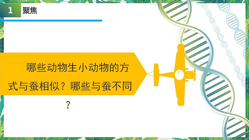 教科版三年级下册科学2.7《动物的繁殖》教学课件第4页