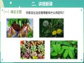 7 网上学习：有趣的植物  PPT课件+教案+素材