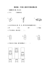 教科版一年级上册科学期末测试卷 (3)