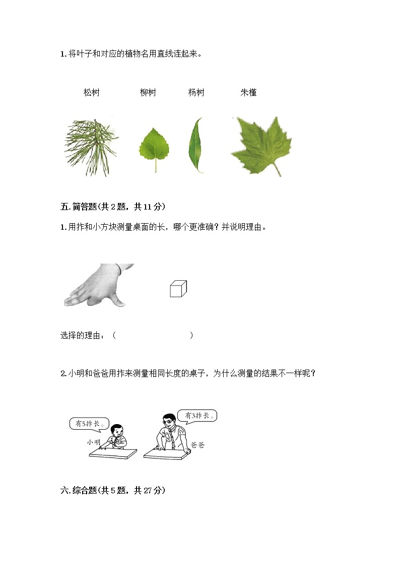 教科版一年级上册科学期末测试卷 (17)03