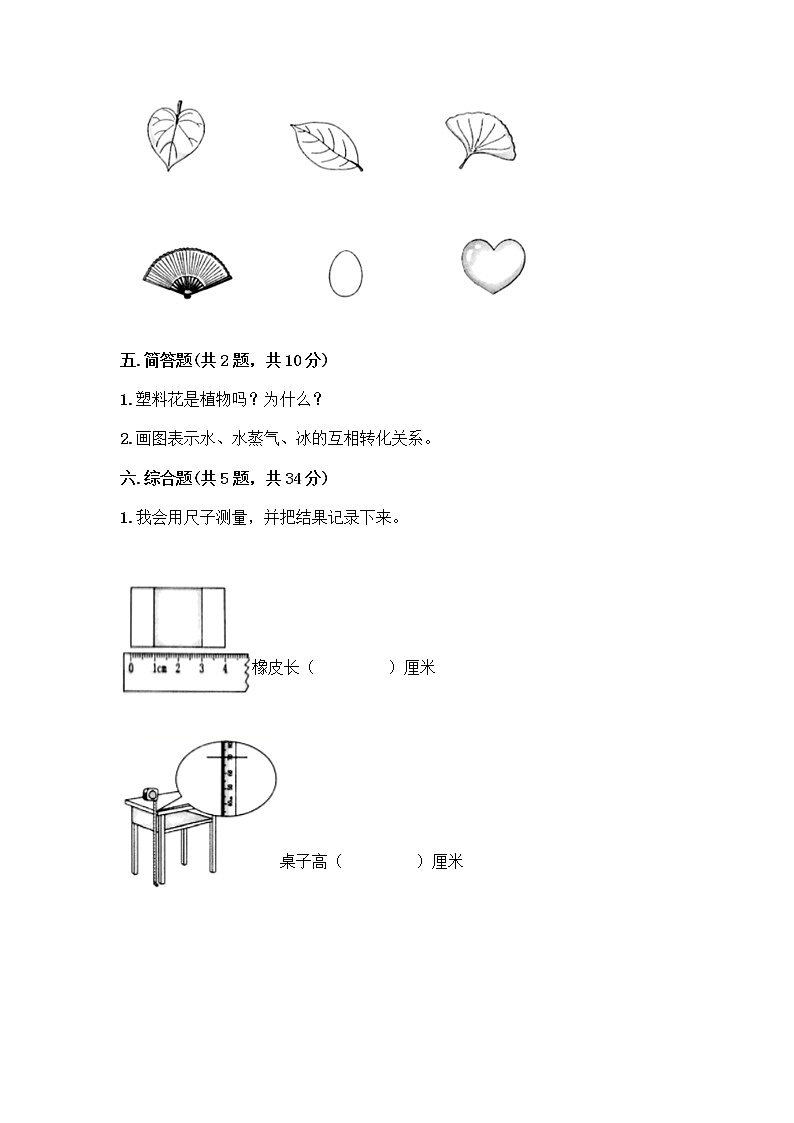 教科版一年级上册科学期末测试卷 (5)03