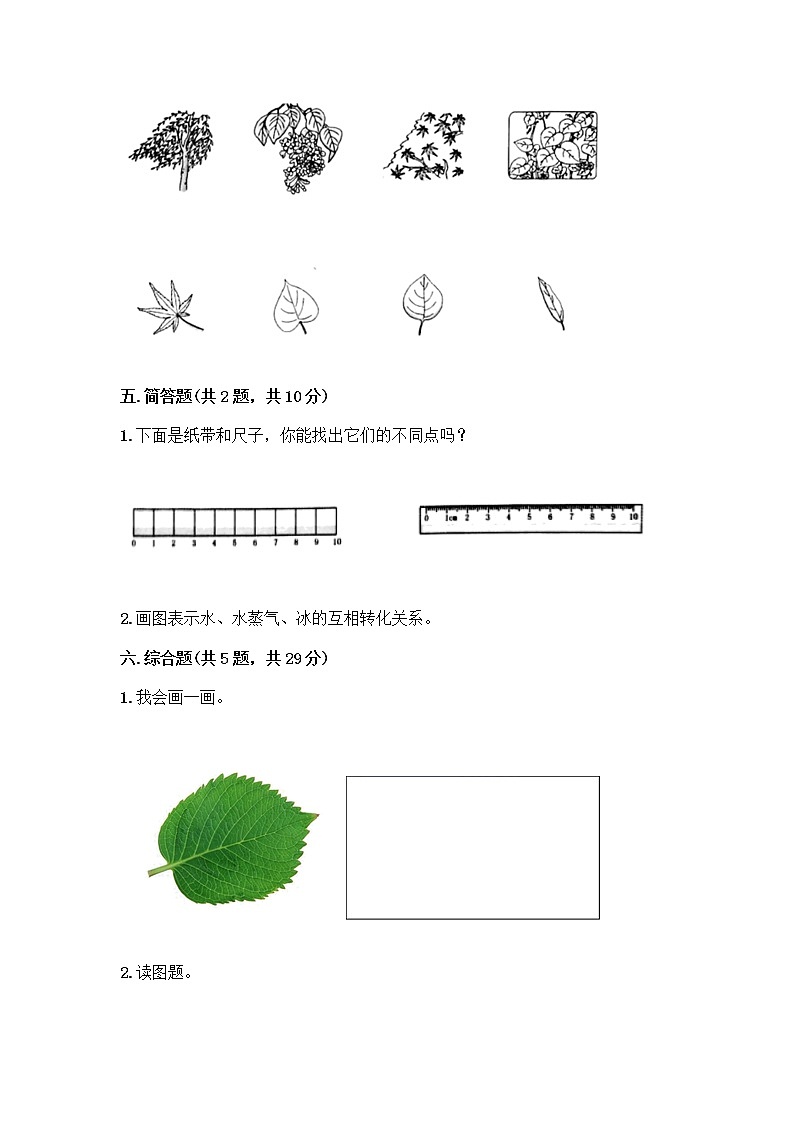 教科版一年级上册科学期末测试卷第3页