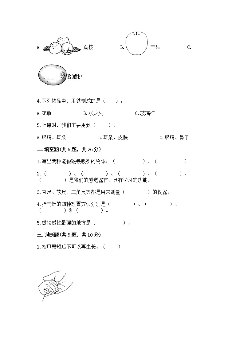 教科版二年级下册科学期末测试卷 (12)02