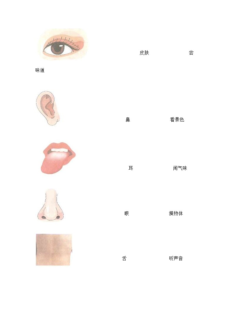 教科版二年级下册科学期末测试卷第3页