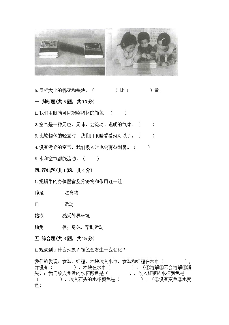 教科版一年级下册科学期末测试卷及答案 (6)第3页
