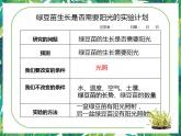 1.3《绿豆苗的生长》教科版五下科学 课件+教案