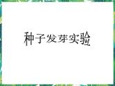 1.1《種子發(fā)芽實(shí)驗(yàn)》教科版五下科學(xué) 課件+教案