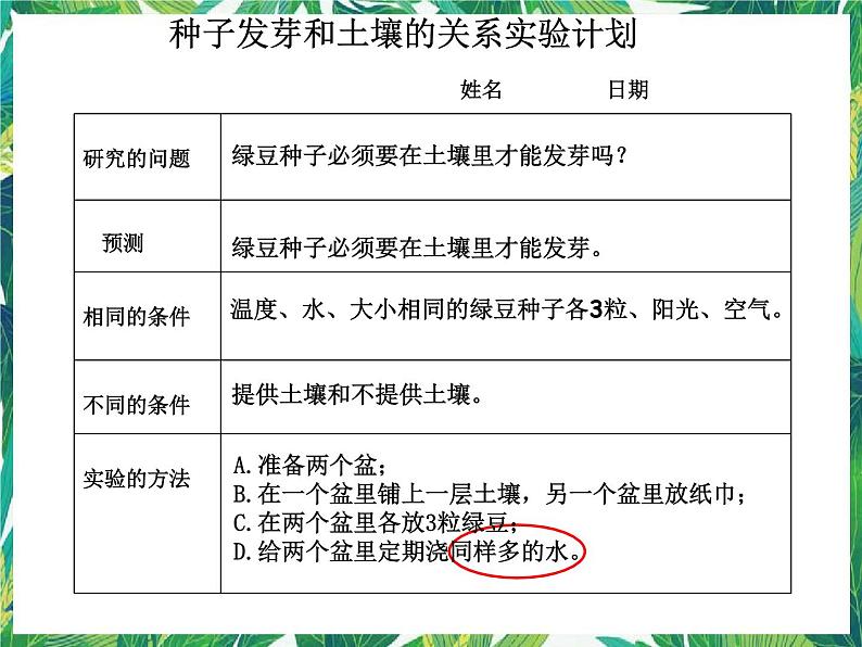 1.1《种子发芽实验》教科版五下科学 课件+教案06