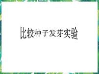 教科版 (2017)五年级下册2.比较种子发芽实验试讲课ppt课件