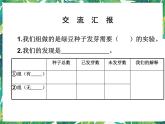1.2《比较种子发芽实验》 教科版五下科学 课件+教案