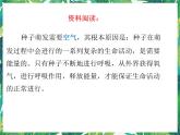 1.2《比较种子发芽实验》 教科版五下科学 课件+教案