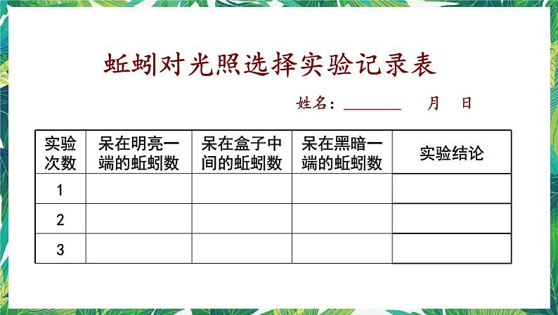 1.4《蚯蚓的选择》教科版五下科学 课件+教案05