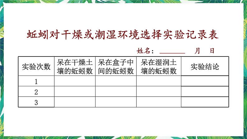 1.4《蚯蚓的选择》教科版五下科学 课件+教案06