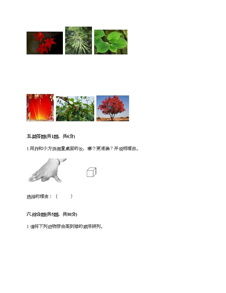 教科版一年级上册科学期末测试卷（名校卷）03