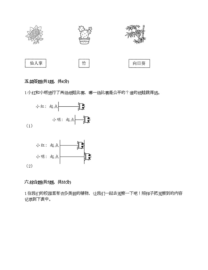 教科版一年级上册科学期末测试卷（突破训练）03