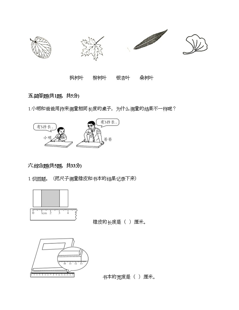 教科版一年级上册科学期末测试卷A4版第3页