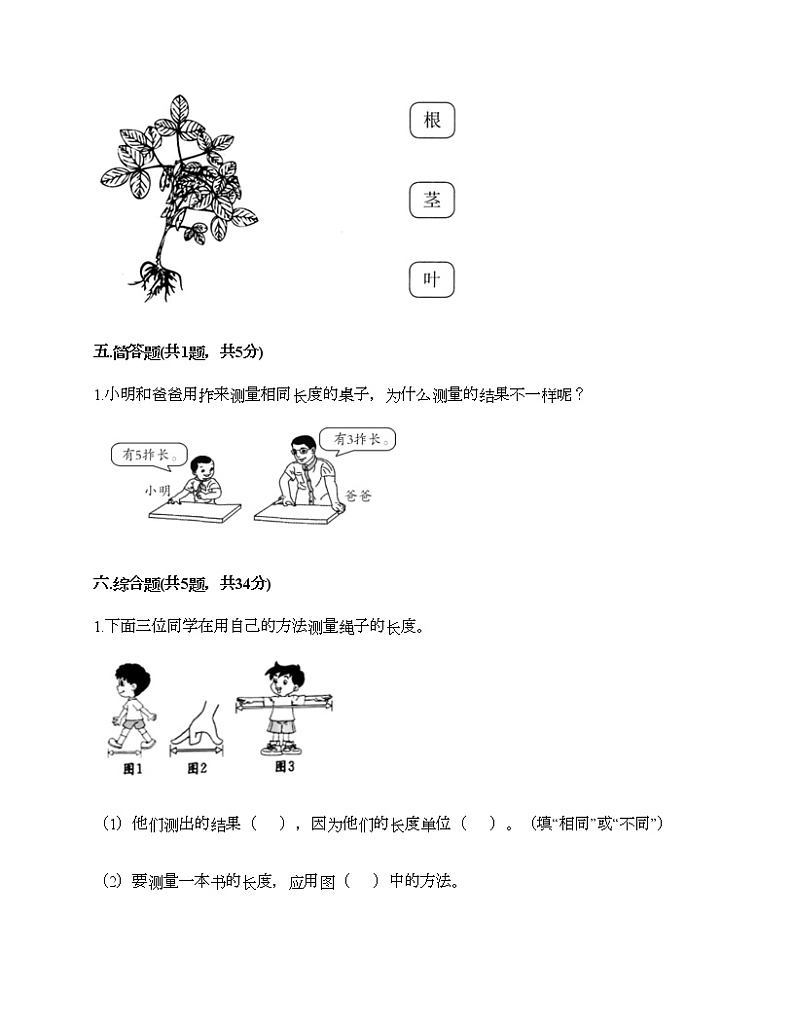 教科版一年级上册科学期末测试卷附答案AB卷第3页