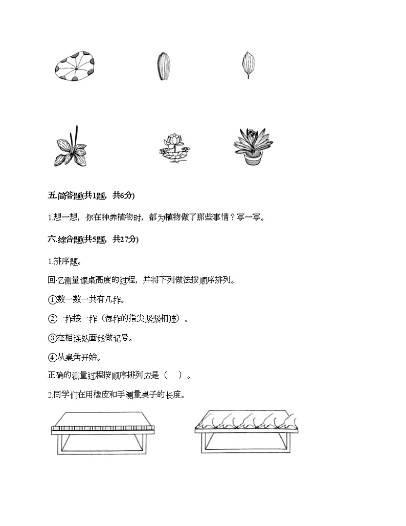 教科版一年级上册科学期末测试卷（综合卷）03