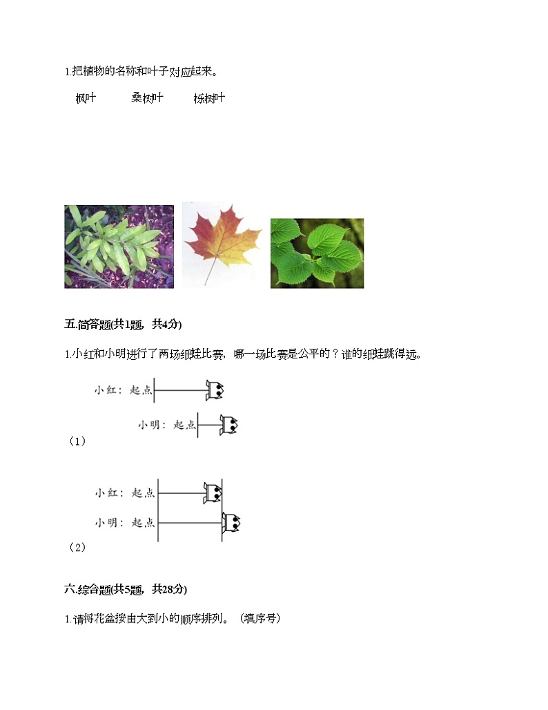 教科版一年级上册科学期末测试卷（真题汇编）第3页