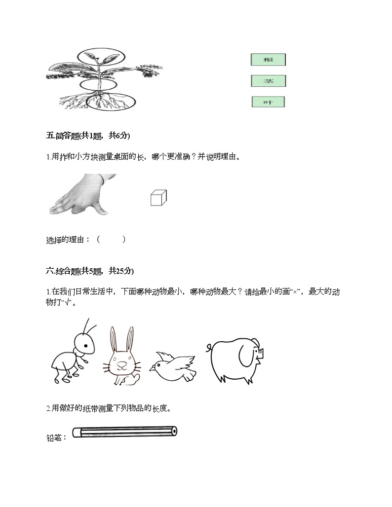 教科版一年级上册科学期末测试卷带下载答案第3页