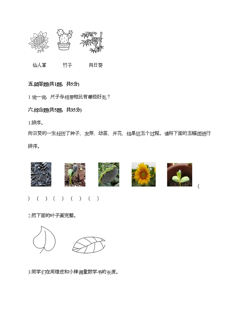 教科版一年级上册科学期末测试卷（能力提升）第3页