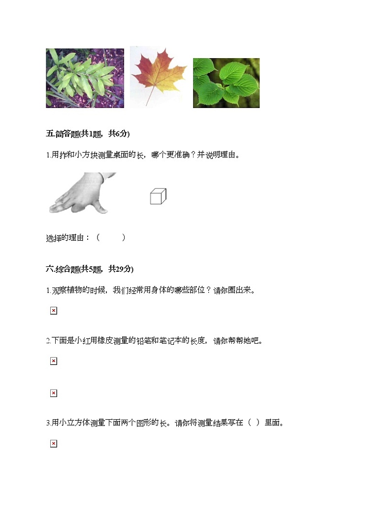 教科版一年级上册科学期末测试卷汇总第3页