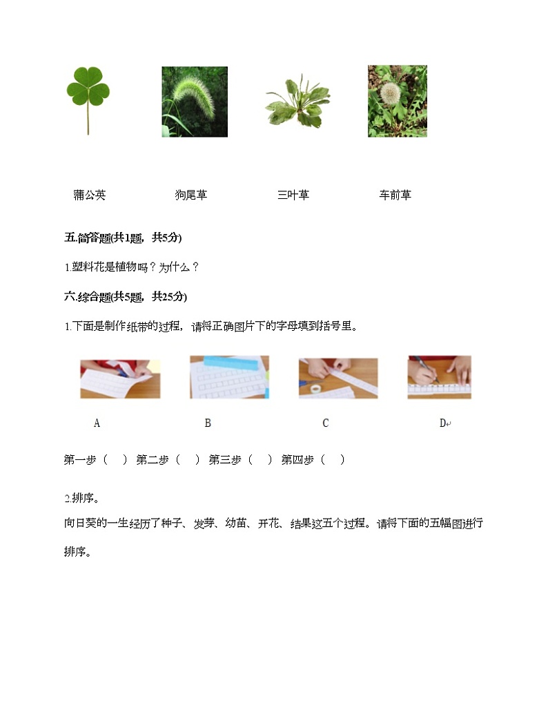 教科版一年级上册科学期末测试卷附答案（预热题）第3页