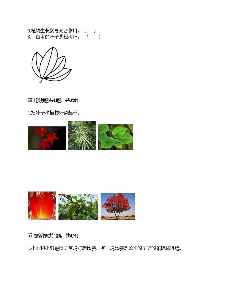 教科版一年级上册科学期末测试卷含下载答案第3页