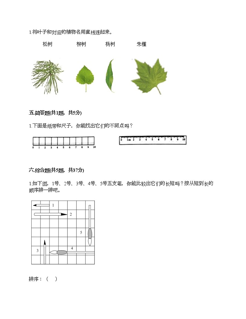 教科版一年级上册科学期末测试卷（全优）第3页